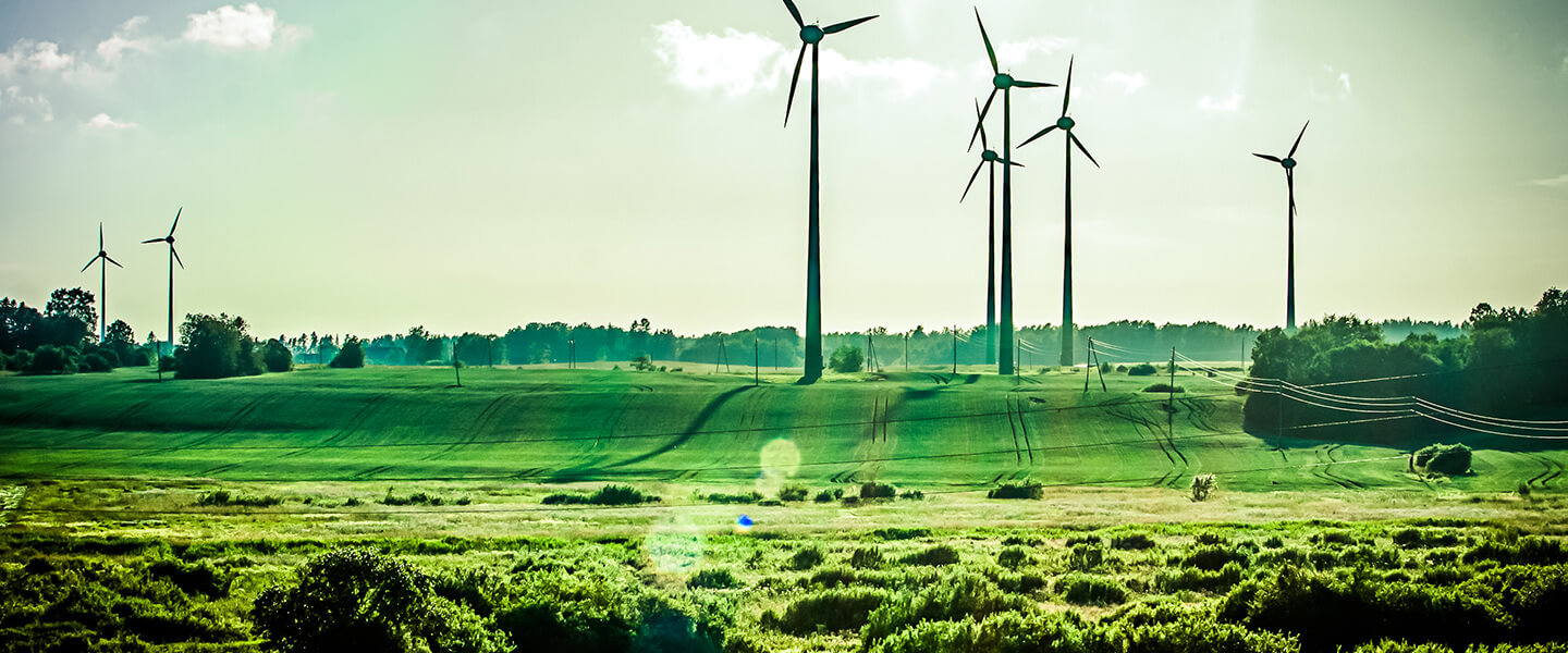 Photo of a wind farm in a rural area for an environmental science paper